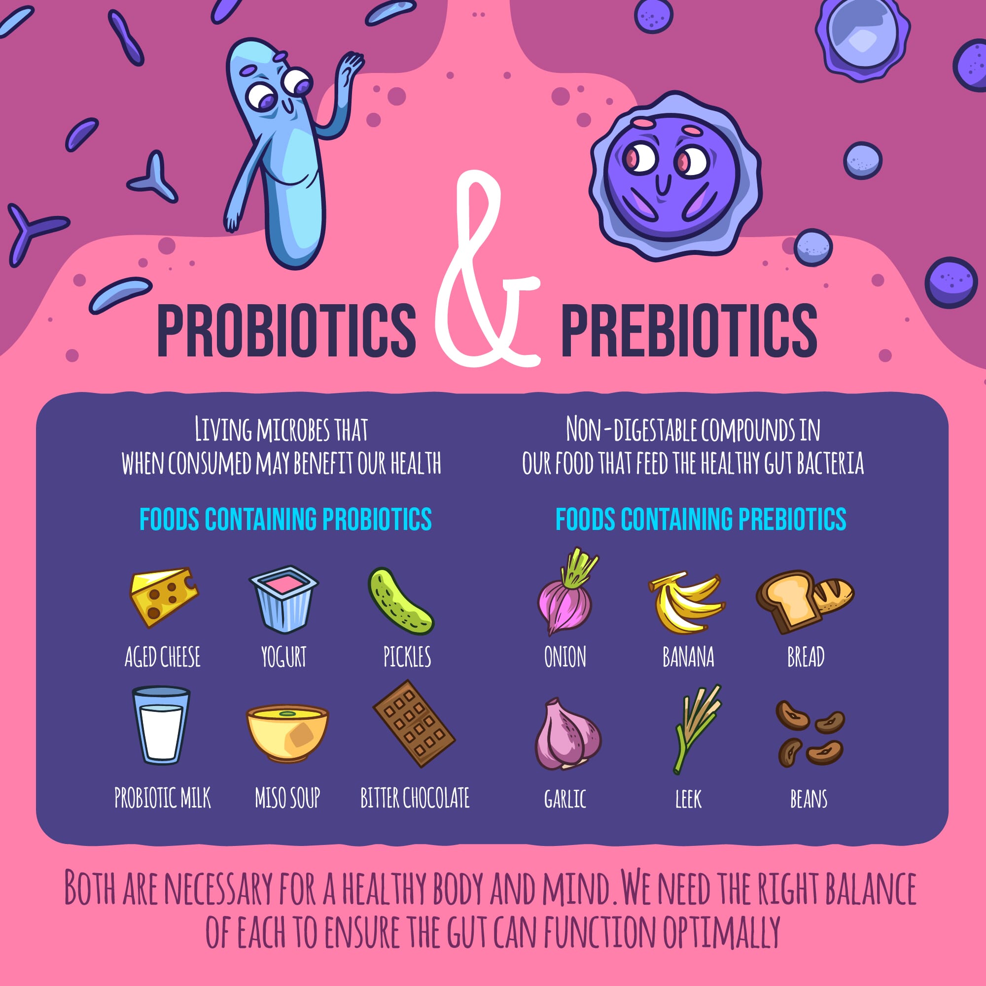 chart showing the connection between gut health and weight regulation, perhaps illustrating how certain gut bacteria influence fat storage